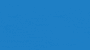 AppColl Session History