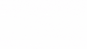 AppColl Themes Header